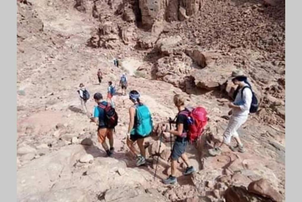 Bedouin Nature Travels Vádi Músza Kültér fotó
