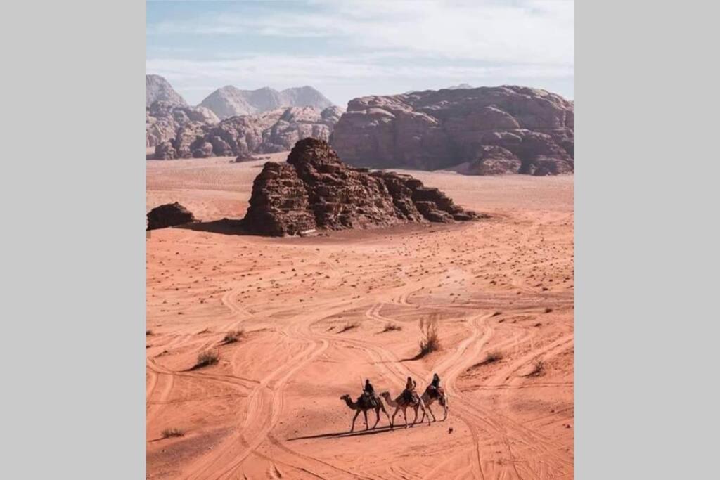 Bedouin Nature Travels Vádi Músza Kültér fotó