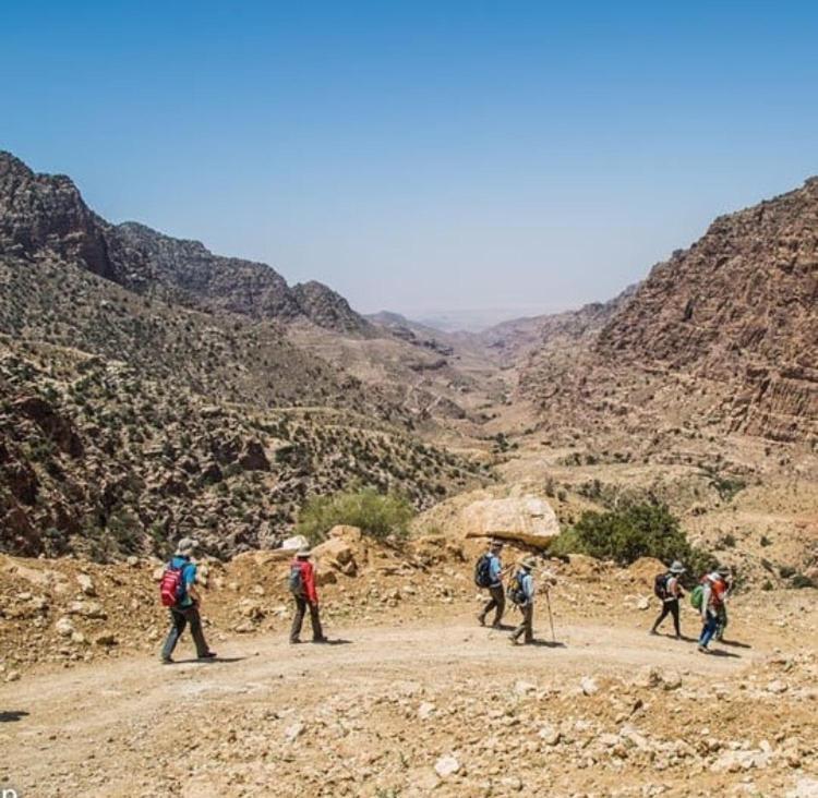 Bedouin Nature Travels Vádi Músza Kültér fotó