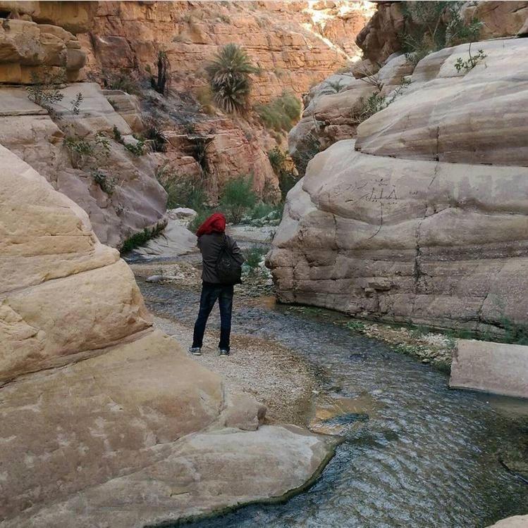 Bedouin Nature Travels Vádi Músza Kültér fotó
