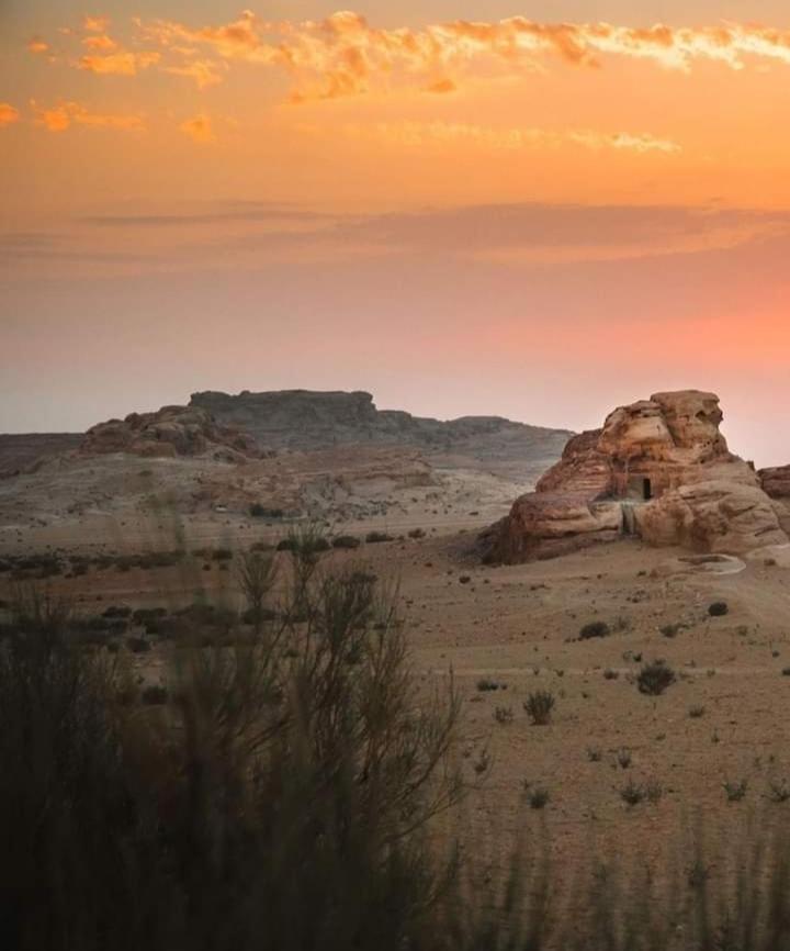 Bedouin Nature Travels Vádi Músza Kültér fotó