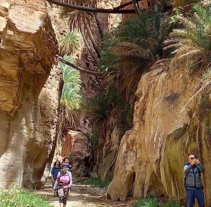 Bedouin Nature Travels Vádi Músza Kültér fotó